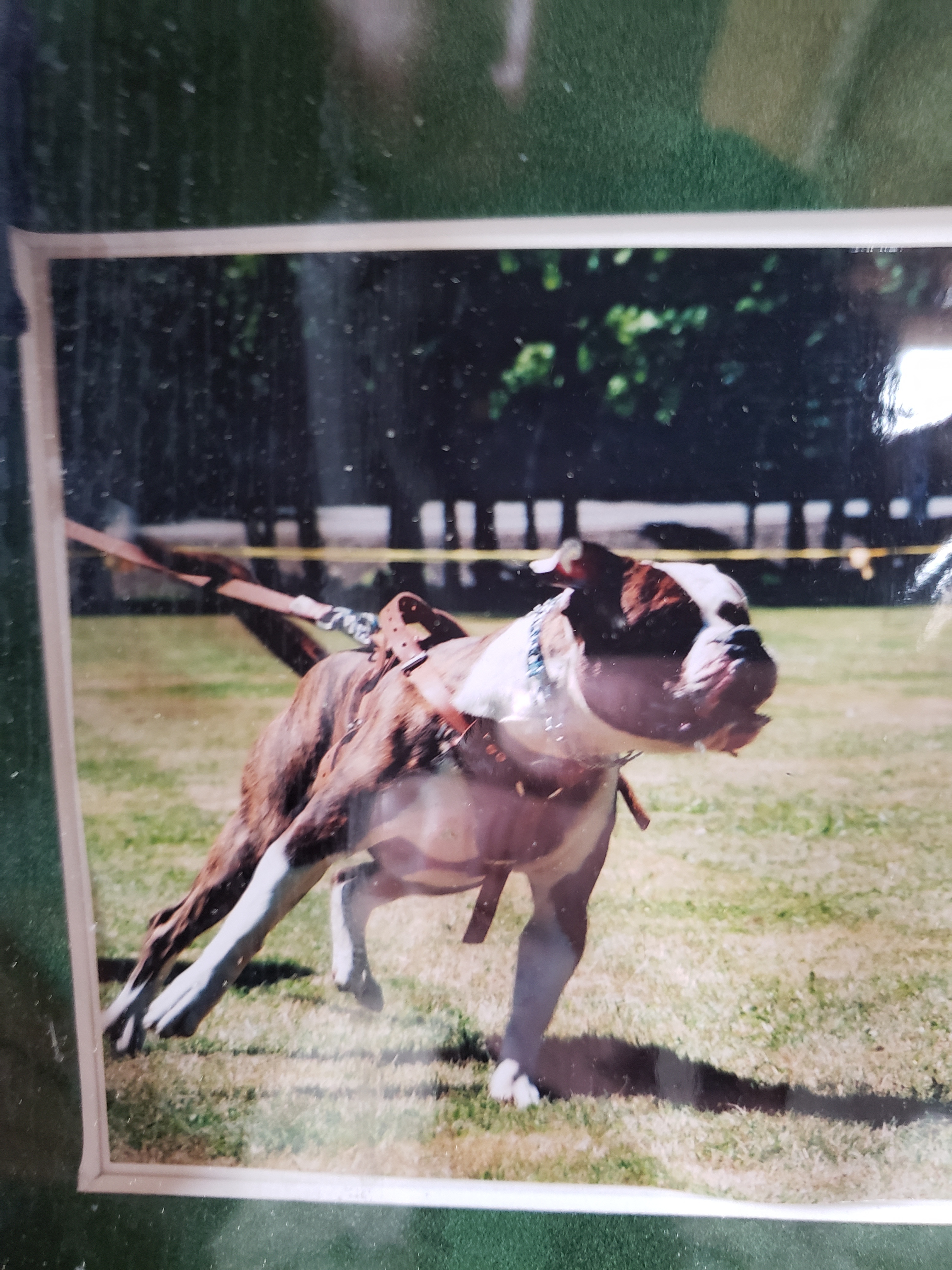 15849922938945325219817108283179