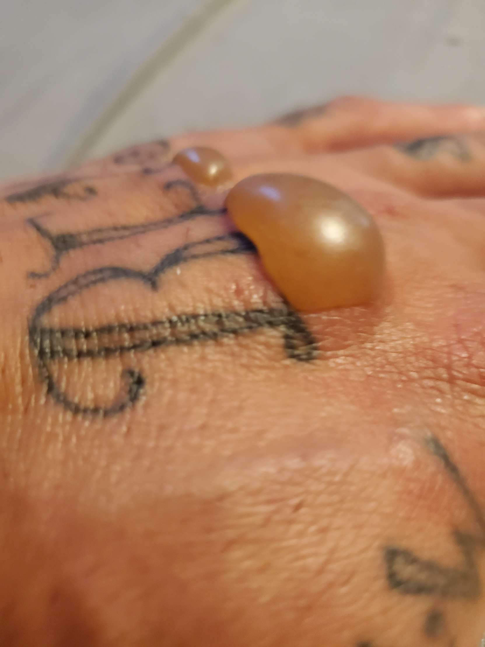 15956831084177086212544545363582