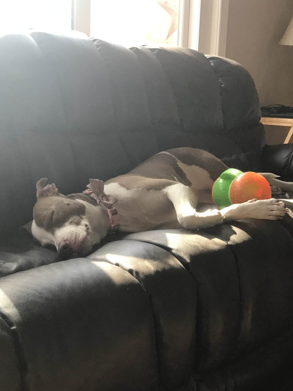 41D999EF-5455-45B6-B50D-39DCF35C2F65