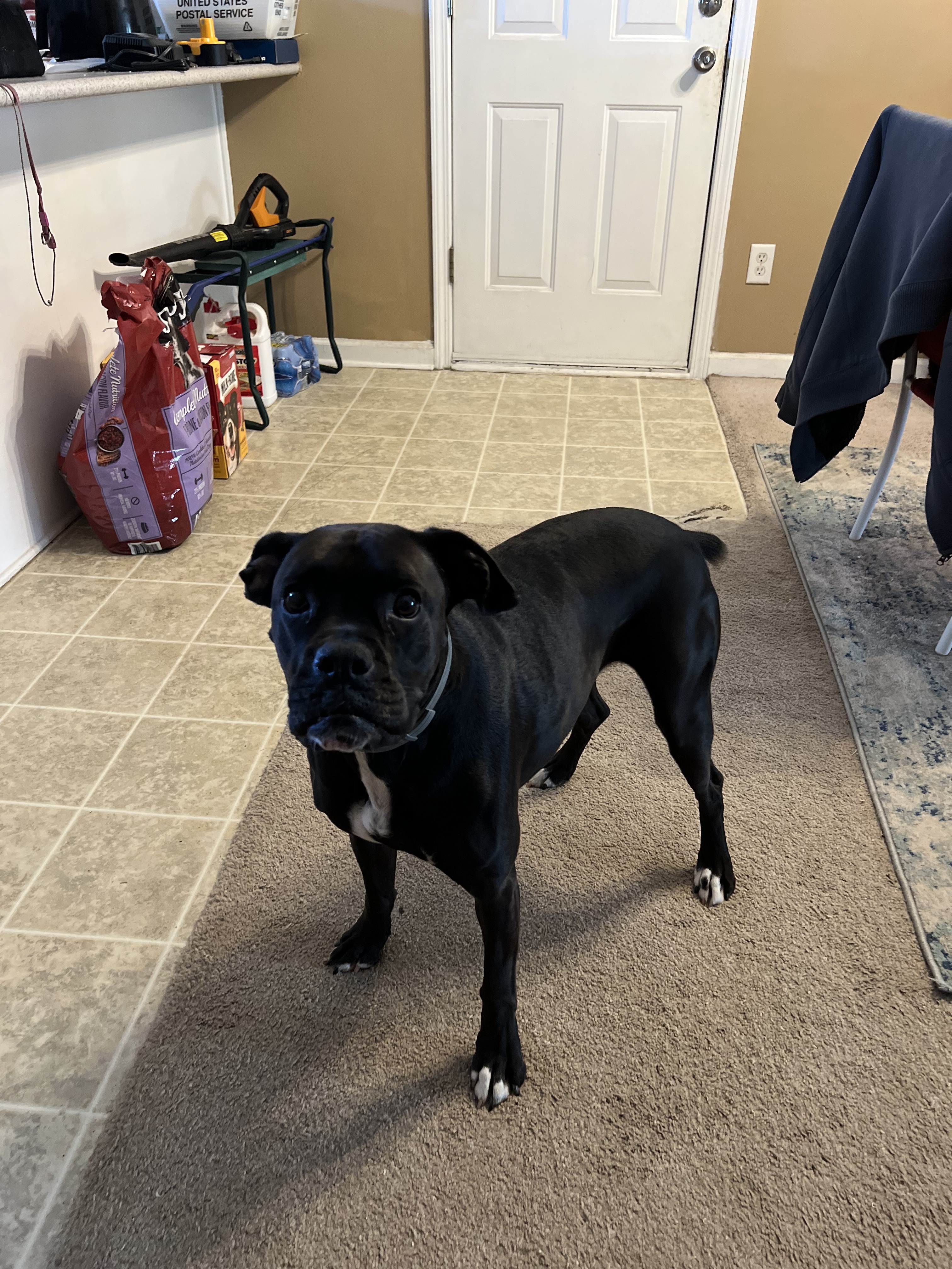 70146456133__DCBE281C-FFB2-4768-96E8-B95B1D6E621B