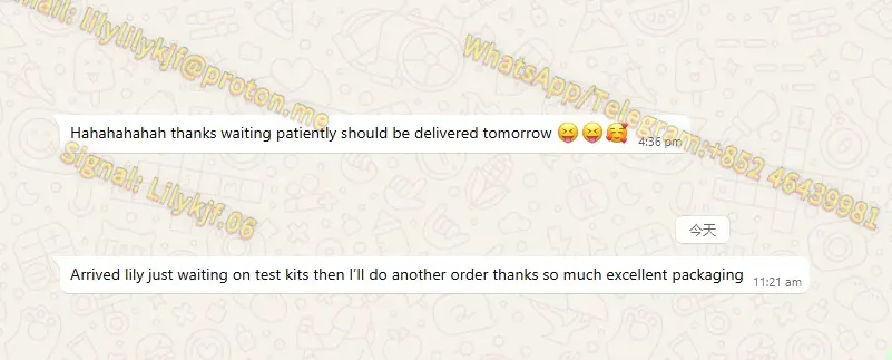 8f687578-e86b-47f2-bb97-16ad393a3033 (1).webp