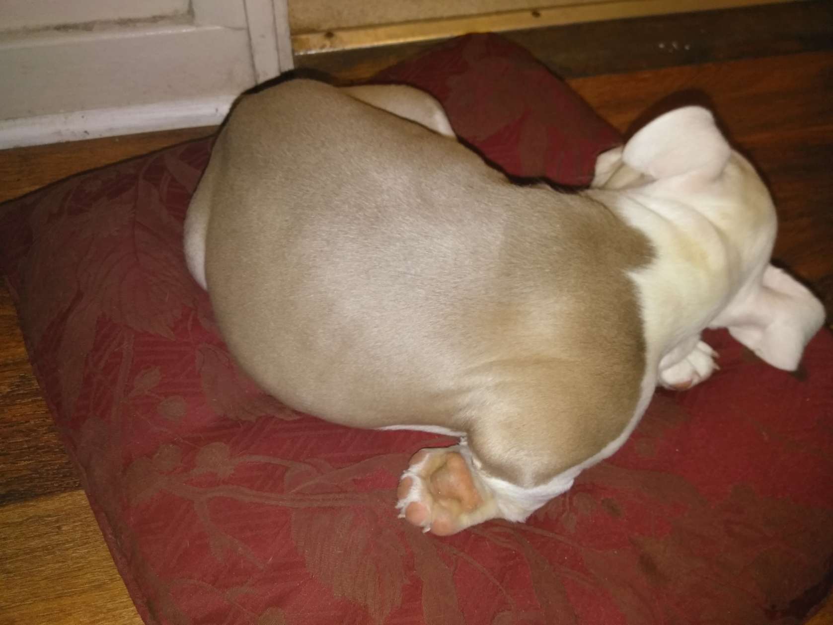 IMG_20180711_072032%20(1)