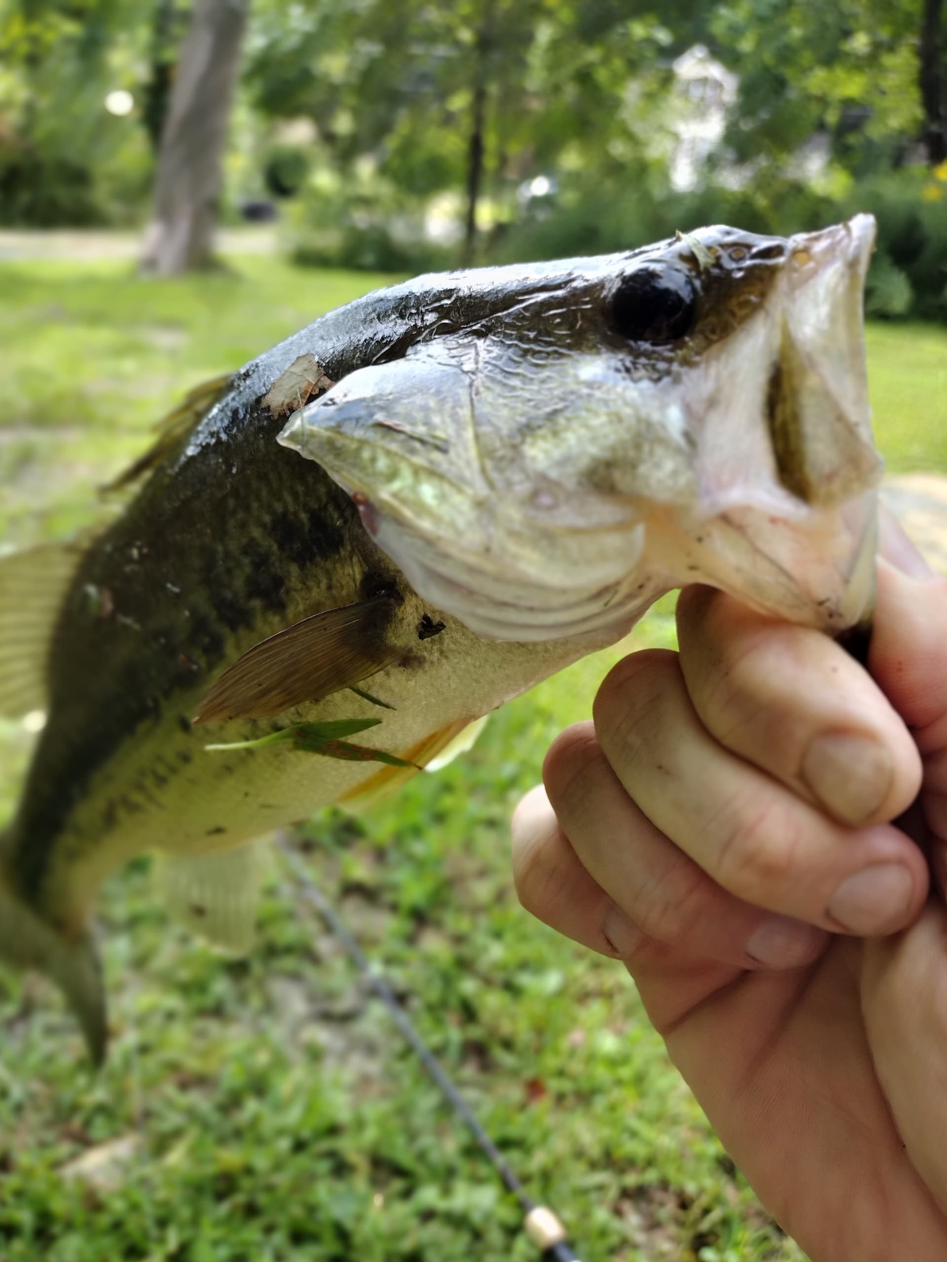 IMG_20230905_135556184_MF_PORTRAIT