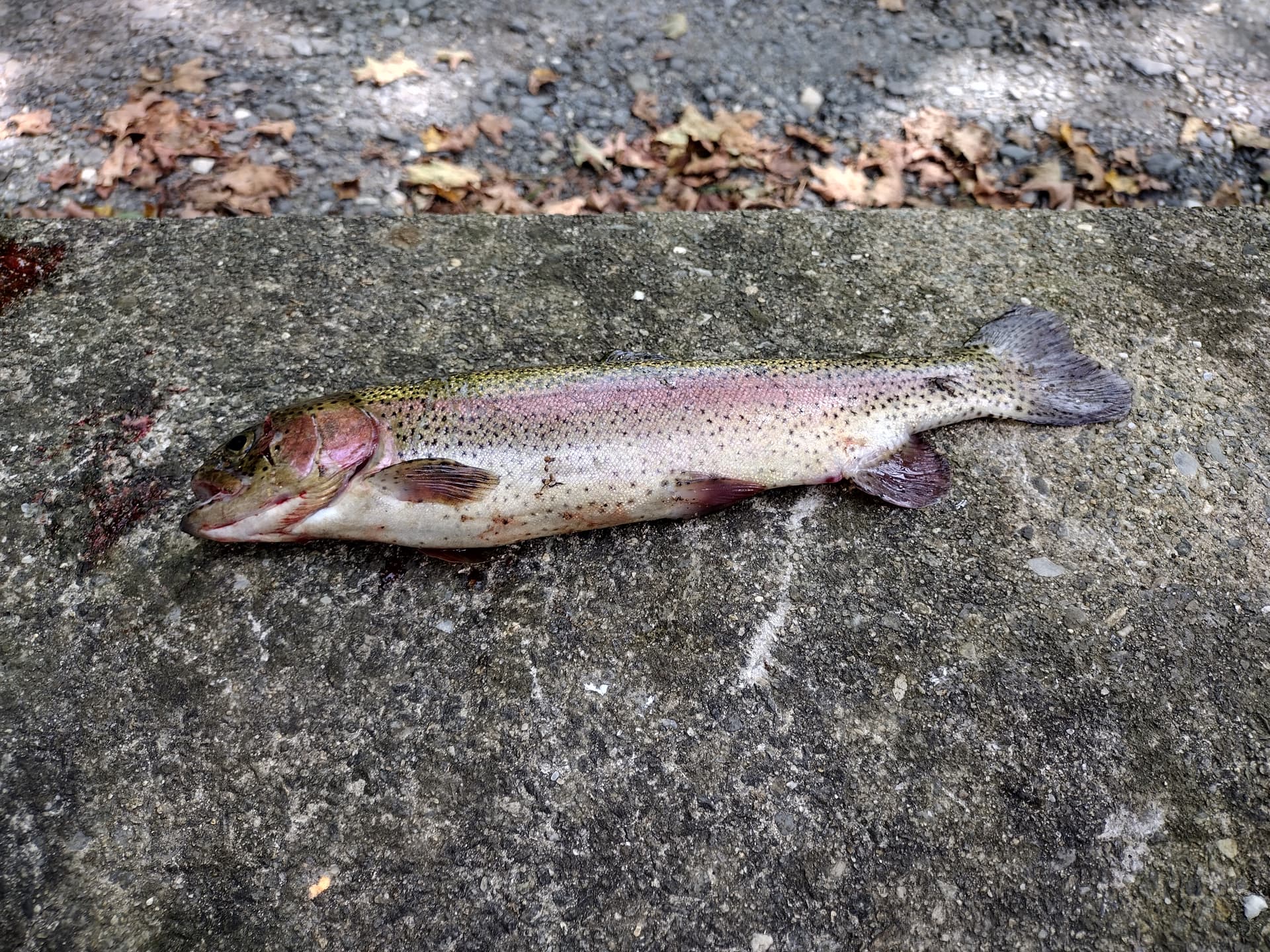 IMG_20230905_143424853_HDR