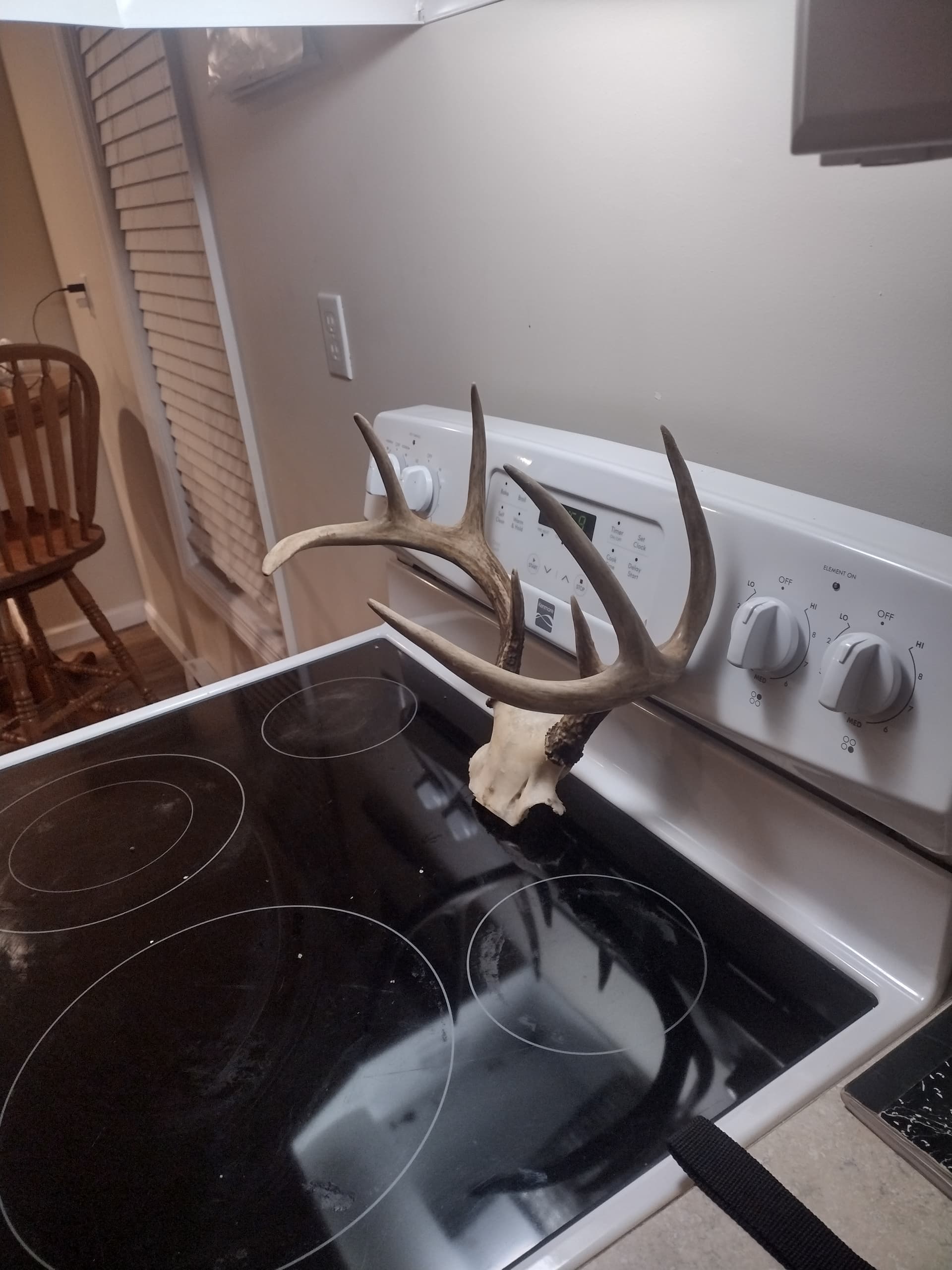 IMG_20231112_215516756_HDR