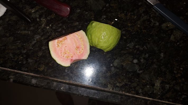 IMG_20231203_053544205