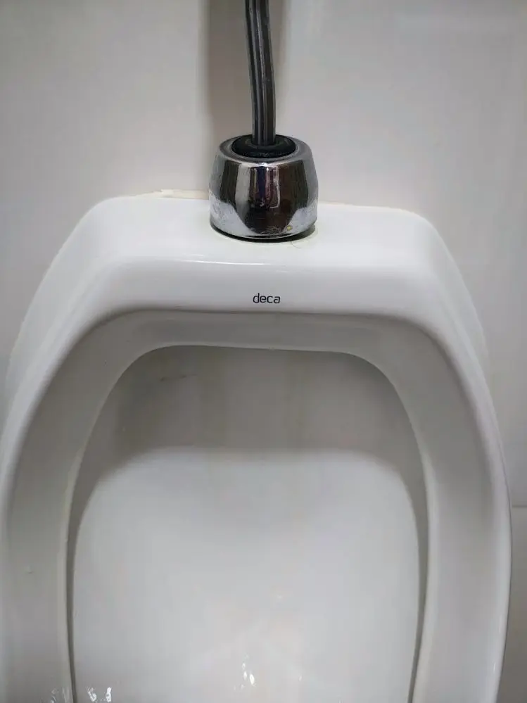 Immagine WhatsApp 2025-04-20 ore 17.52.59_3999c910.webp