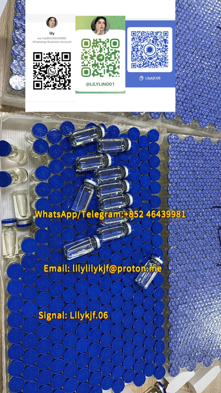 photo_2025-08-20_20-14-56 (2).webp