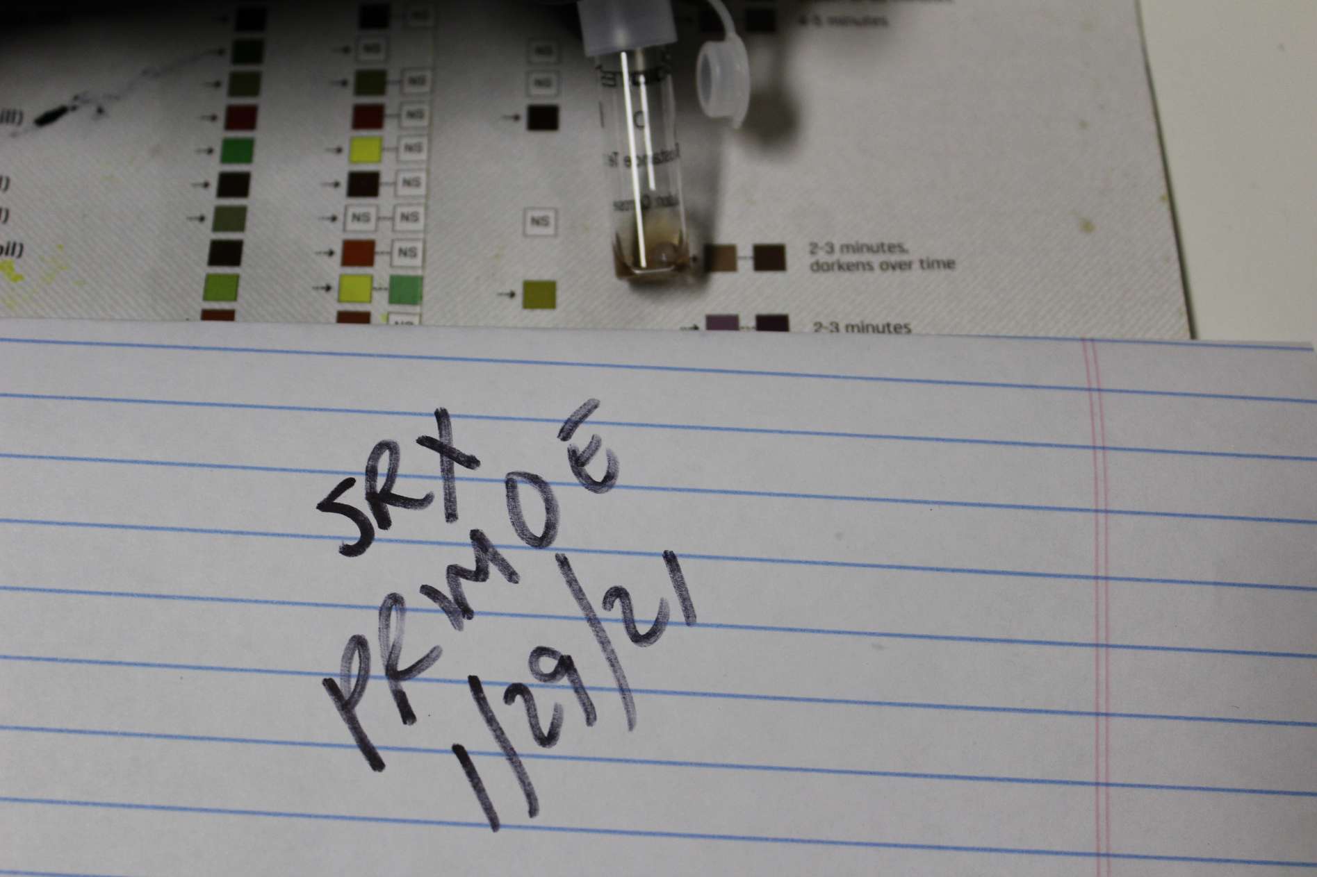 Primo_e_vial_d_initial