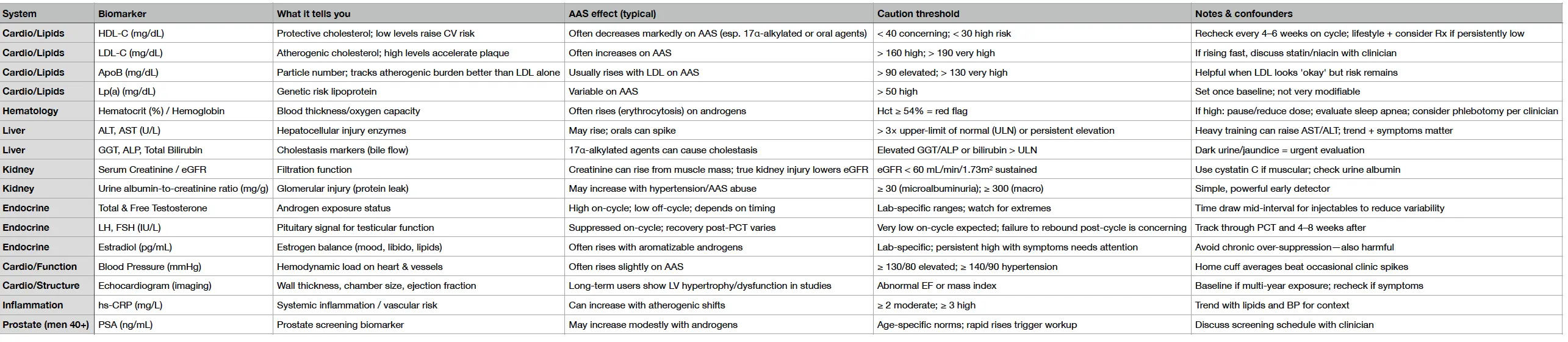 Screen Shot 2025-08-26 at 08.38.42.webp