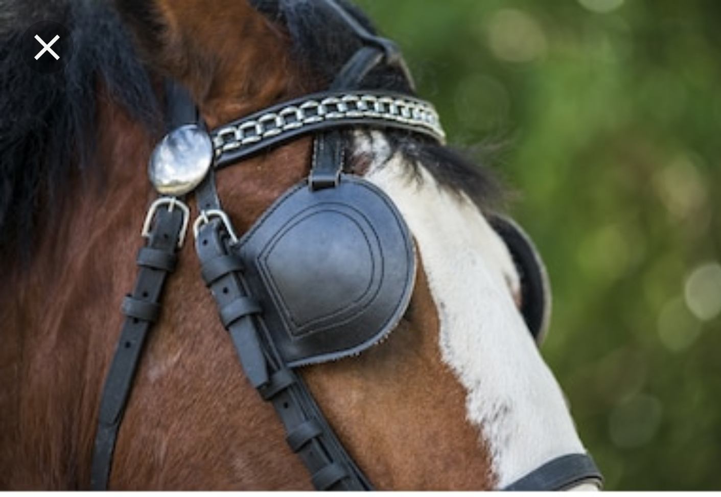 Screenshot_20190502-083756_Google