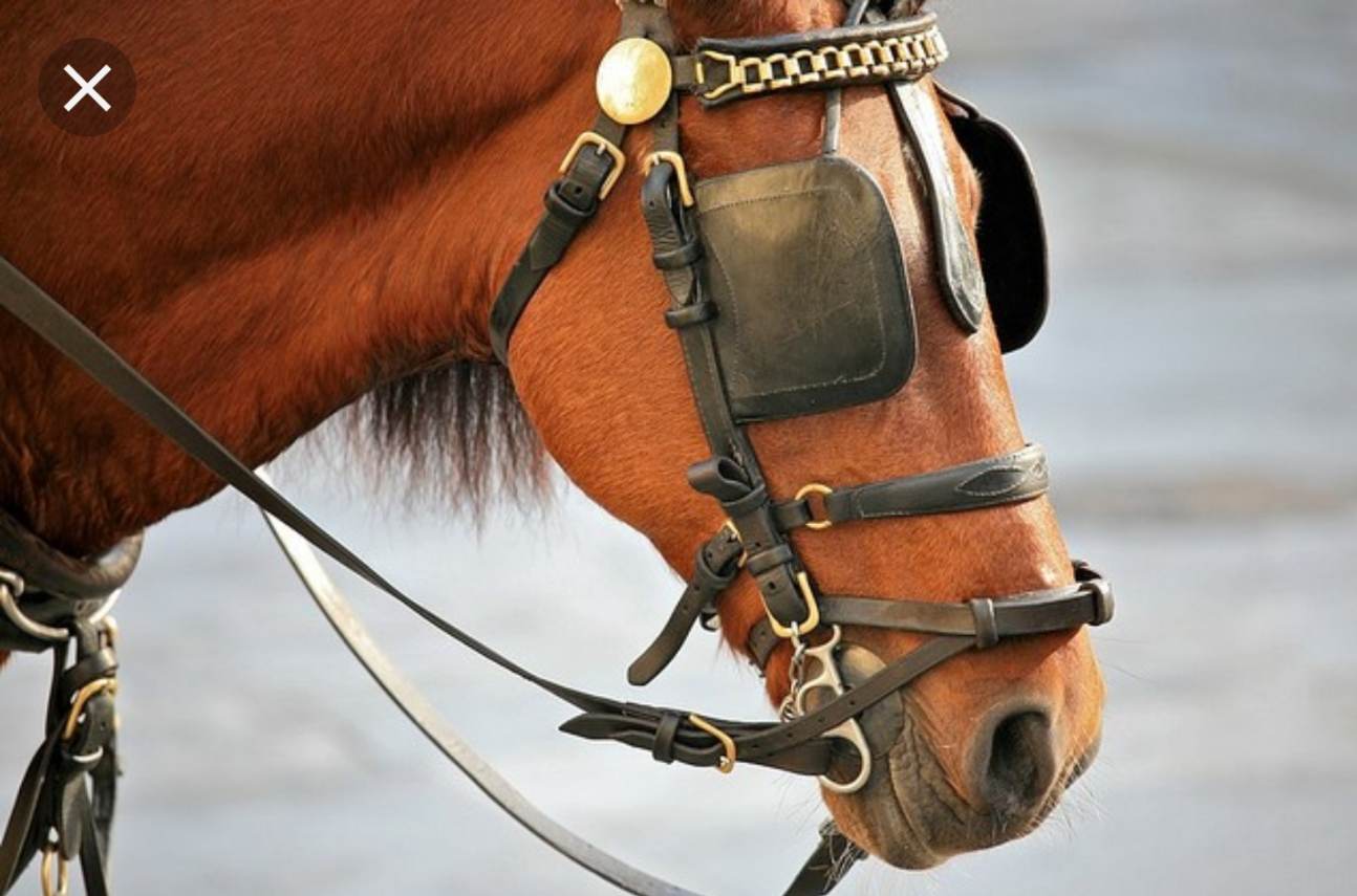 Screenshot_20190502-083937_Google