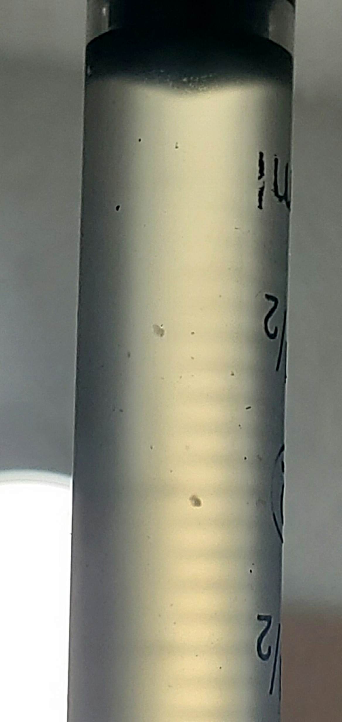 Screenshot_20200328-043937_Gallery