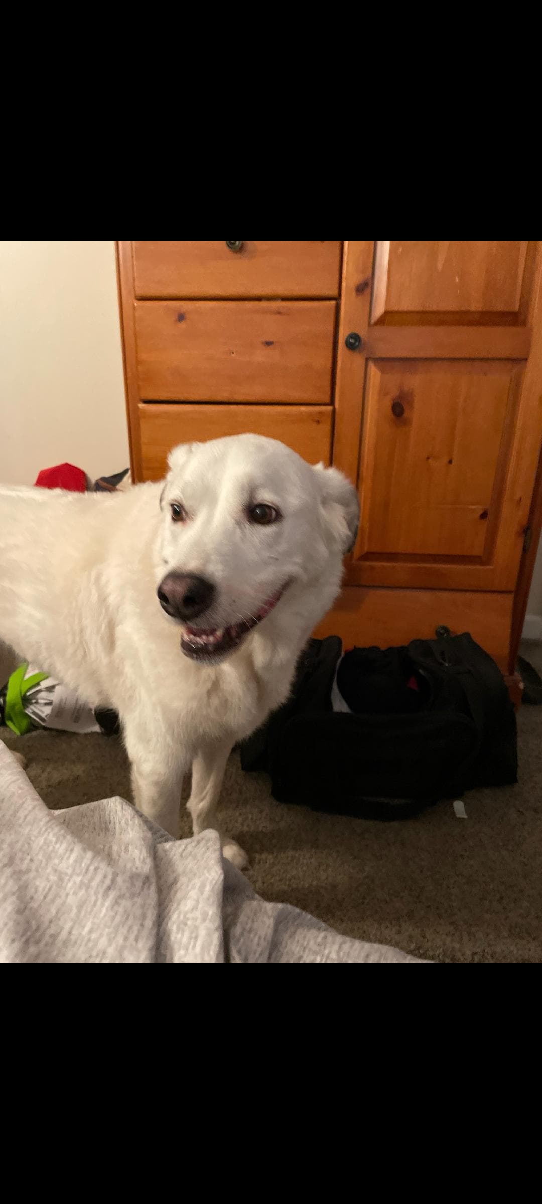 Screenshot_20230726-193026