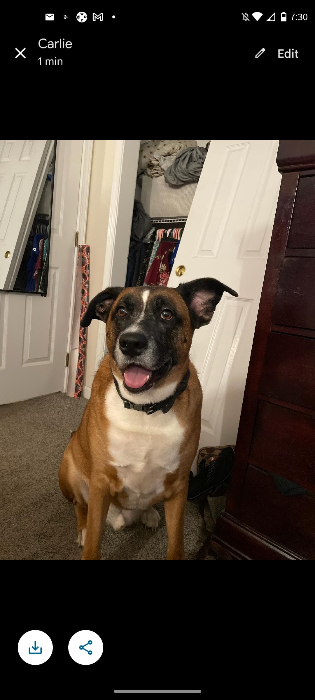 Screenshot_20230726-193057