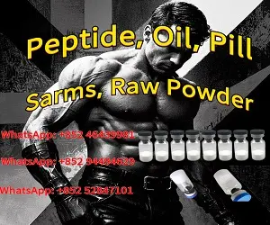 WhatsApp 图片 2025-02-08 17.05.47 (1).webp